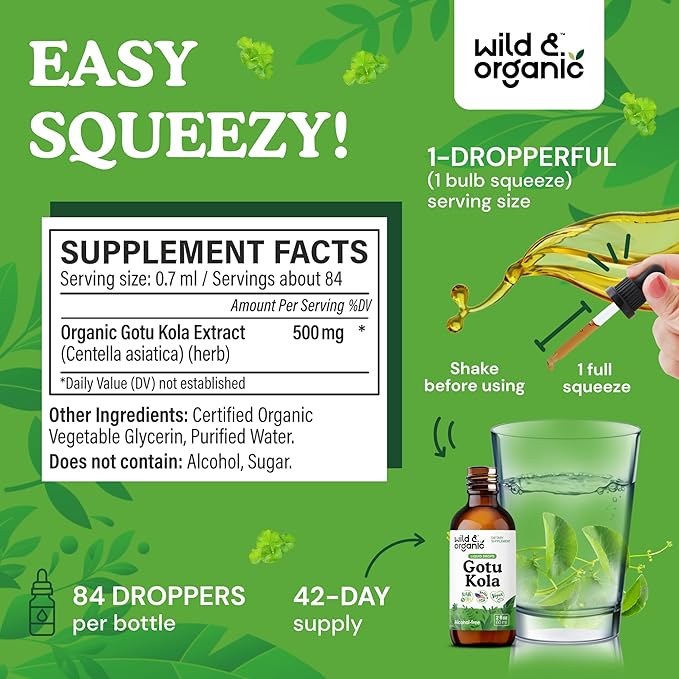 Wild & Organic Gotu Kola Herb Tincture - Brain Support - Gotu Kola Liquid Extract Drops - Vegan, Sugar & Alcohol-Free Centella Asiatica Supplement - 2 fl oz