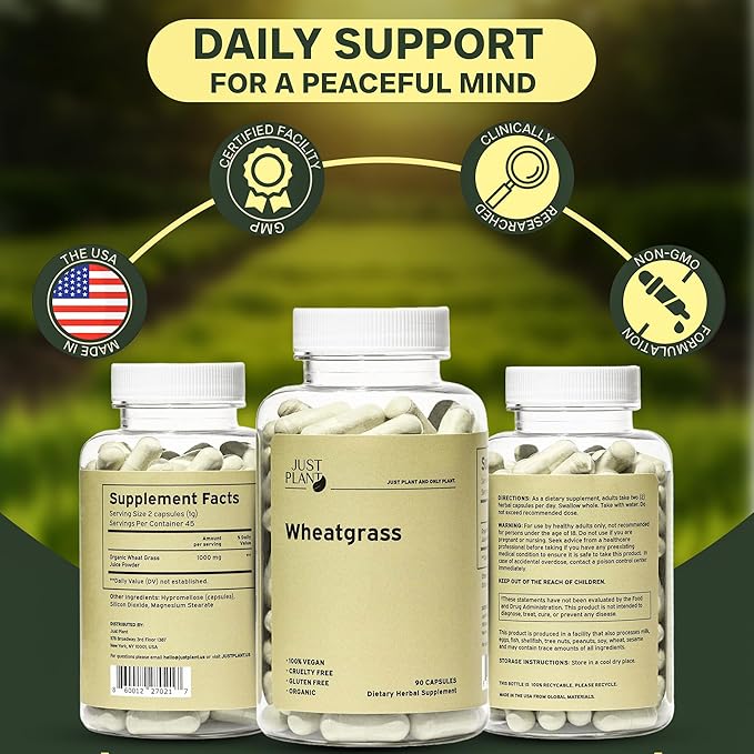 Organic Wheatgrass Capsules 500 mg, 90 Capsules | Vegan, Gluten-Free | Green Superfood Supplement for Detox, Energy, Digestion & Immune Support
