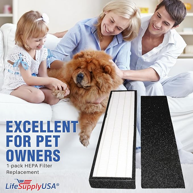 LifeSupplyUSA True HEPA Replacement Compatible with GermGuardian FLT5000/FLT5111 AC5000 Series Air Cleaners, Filter C (2-Pack)