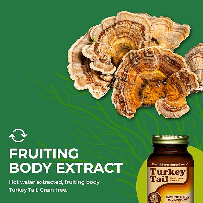 HEALTHFORCE SUPERFOODS Turkey Tail - Capsules - 90 Vegan Capsules