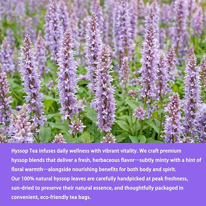 Samcci - Hyssop Tea, 40 Teabags, 1.5g/bag - Premium Hyssop Tea bags - No Additives - No Preservatives - Support Digestion & Promote Relaxation