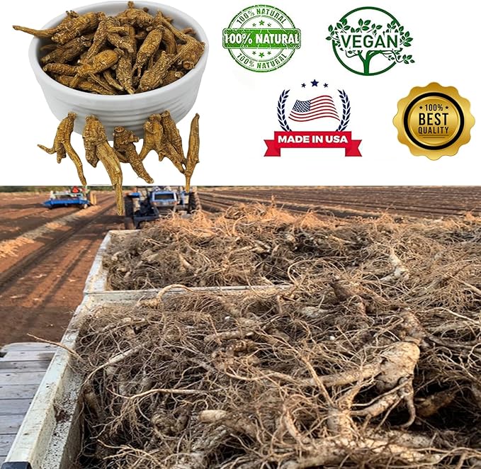 Wisconsin American Ginseng, American Wisconsin Ginsengss Slices Root 西洋参/花旗参 Energy for Men & Women Ginseng in Soup, Tea Smoothies Large 4 Ounce Box