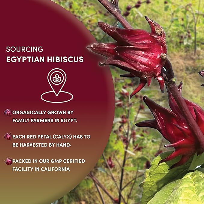 Worldwide Botanicals Organic Hibiscus Tea – 1 lb, Loose Leaf, Cut and Sifted – 100% Egyptian Hibiscus sabdariffa AKA Karkade, Roselle, Sorrel, Zobo, Flor de Jamaica, 1 Pound Bag