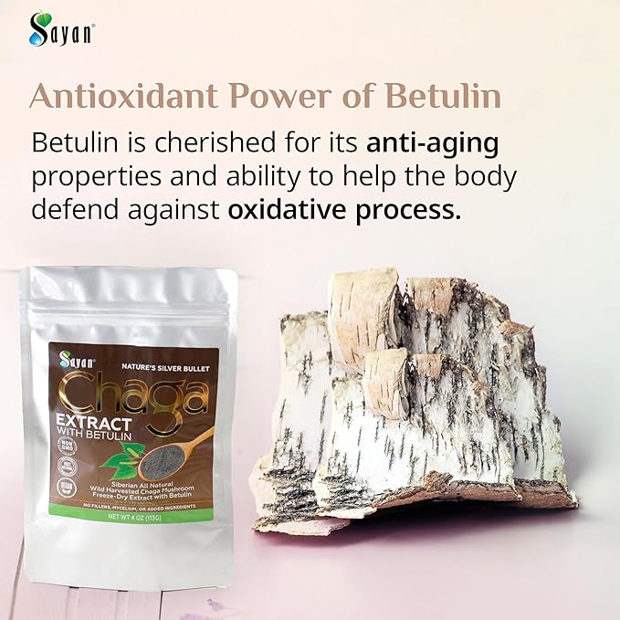 Sayan Siberian Chaga Mushroom Extract with Betulin Powder (2 oz) – Organic Antioxidant Blend – Support Immune System & Regulate Body Functions, Energy, Clarity, Wellness – Mix with Yogurt or Smoothies