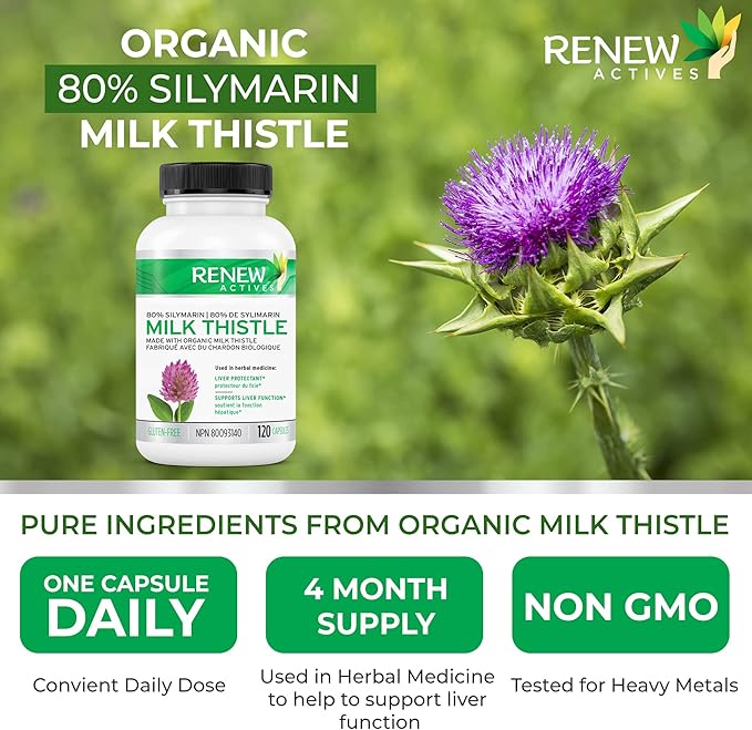 Renew Actives Milk Thistle Capsules 175MG per Serving Organic Seed Extract for Liver Health, Concentrated Silymarin Formula, Antioxidants, & Digestive Wellness – Made in Canada - 120 Capsules