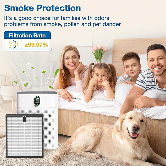 2 Pack HY4866 Replacement Filters for MORENTO/WESTHEY HY4866 Air Purifier and YIOU M1 Air Purifier, 3-in-1 H13 True HEPA Filter High-Efficiency Activated Carbon Filter, Enhanced Version