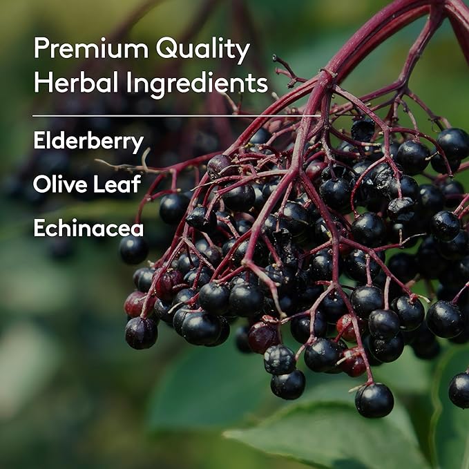Immune + Wellbeing, Herbal Immune Support Syrup, with Elderberry, Echinacea & Olive Leaf, Liquid Absorption, Great Tasting Wild Berry Flavor, Alcohol-Free, Plant-Based, 6.7 fl oz