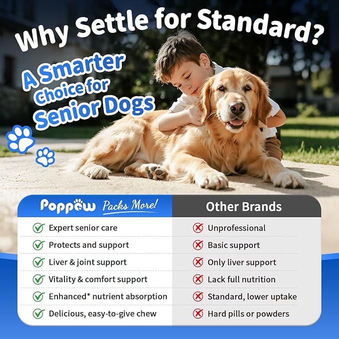 Liver Health Supplement for Senior Dogs - Joint Health Support with Silybum Marianum, SAMe, Krill Oil, Glucosamine, B Vitamins Complex, MSM, Choline for Old Dogs, Chicken Flavor - 90 Soft Chews