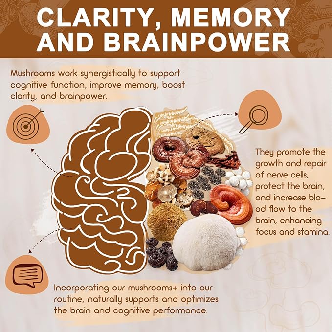 Mushroom Supplement, Mushroom Complex with Lion's Mane, Turkey Tail, Reishi, Cordyceps, Shiitake, 14-in-1 Mushrooms for Memory and Focus, 120 Capsules
