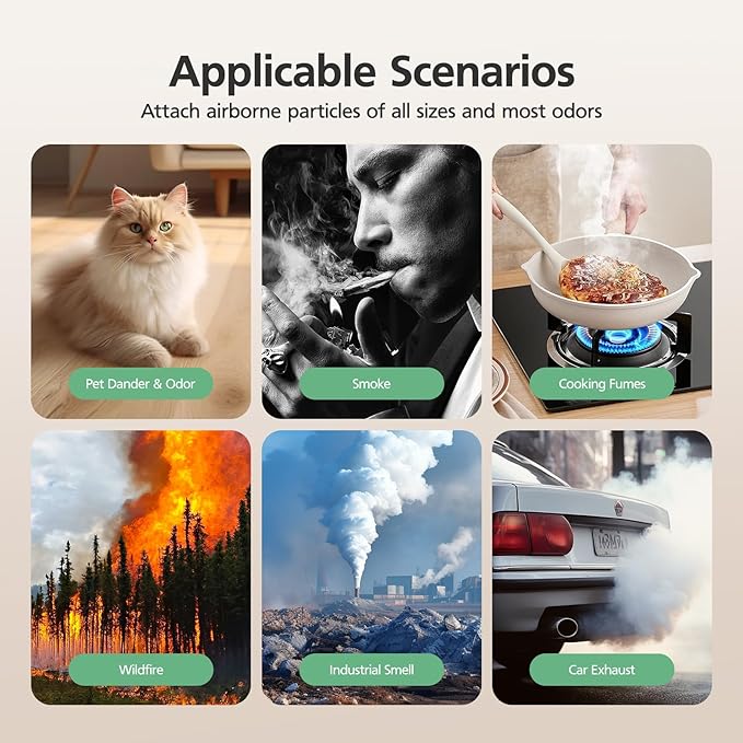 W-01 Replacement Filter Compatible with DBFIT W-01 Air Purifi-er Air Cleaner, 3-IN-1 HEPA Filter, Activated Carbon Filter and Pre Filter for Dust Smoke Pet Hair Odor, 2 Pack, White