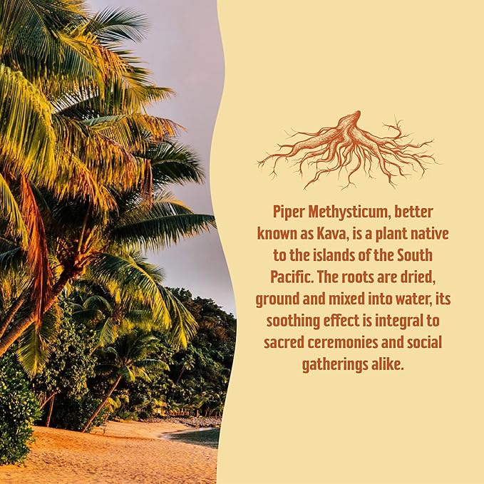 Taki Mai Pineapple Kava Kava 2.5 oz (24-pack) Shots – Noble Kava Root Drink, Ready to Drink for Stress Support & Relaxation, Fast Acting Herbal Support for Calming Better Sleep and Balanced Mood