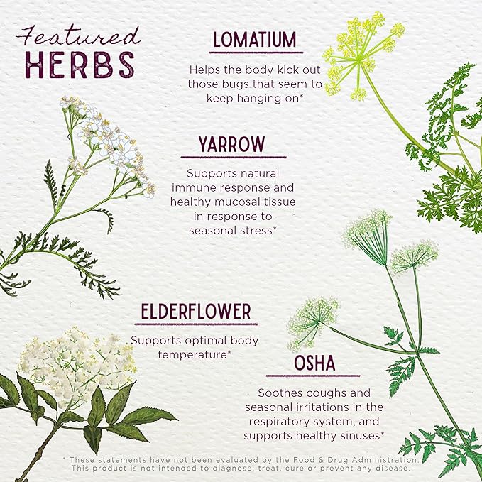 WishGarden Herbs Serious V-Fighter - Plant-Based Herbal Rapid Immune Support & Respiratory Health with OSHA & Goldenseal, Soothes Aches & Irritated Lungs, Supports Optimum Body Temperature, 4oz