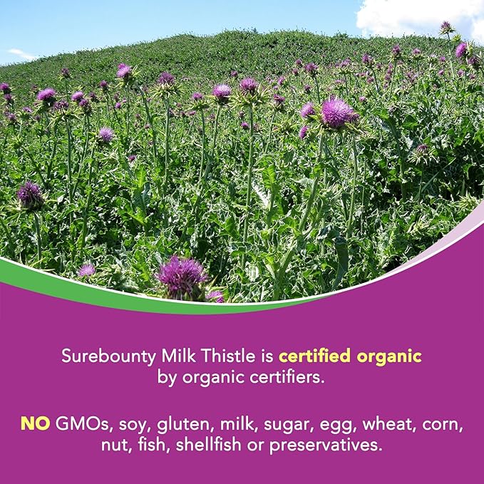 Organic Milk Thistle, 9000 mg Equivalent, 30X Concentrated Seed Extract, 80% Silymarin, Liver Support Cleanse Detox, Fatty Liver Supplements, Non-GMO, No Gluten & Soy, 90 Veggie Caps, 3 Month Supply