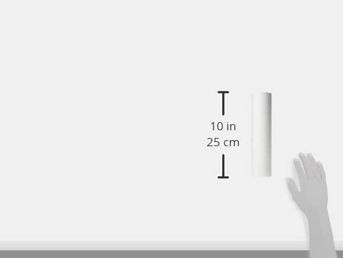 IPW Industries Inc. - Whole House Water Filter Replacement Cartridge, 50-Micron Poly-Spun Sediment Filtration System for Home Water - Watts Premier, 5 Pack