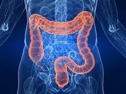 The One Minute Miracle Oxy-Colon Cleanse Vegan Colon Cleanser - 120 Vegatarian Capsules.