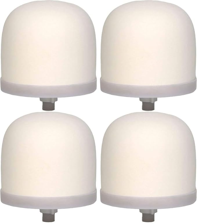 Ceramic Dome Water Filter Element with Silver Purification (4)