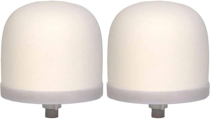 Ceramic Dome Water Filter (2)