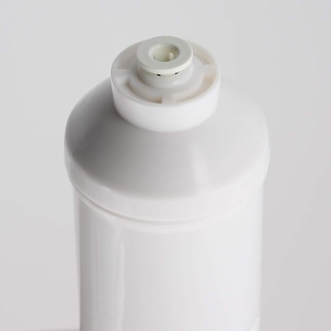 Inline Carbon Water Filter | 10" Length | 1/4" Quick Connect In/Out (1/4" QC) | For Chlorine Taste & Odor or Post Filter for Home RO | RO Stage 5 Polishing Filter