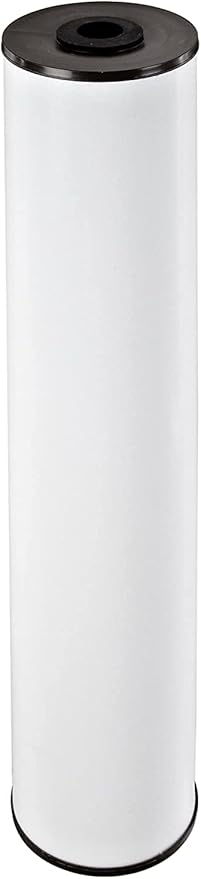 Pentair Pentek RFFE20-BB Big Blue Water Filter, 20-Inch, Whole House Radial Flow Iron Reduction Replacement Cartridge, 20" x 4.5", White