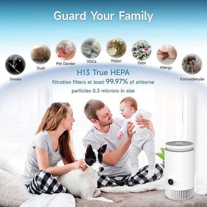 2-in-1 Humidifier and Air Purifier Combo, Mistless Evaporative Humidifier and HEPA Filter Air Purifier, Silent, WIFI Smart for Bedroom, White