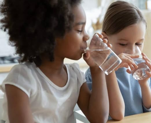 Watts Premier Pure UF-3 Membrane Filter for RO Pure Reverse Osmosis System, 0.2-Micron Water Filter Replacement, Push Button Assembly, Reduces Sediments and Particles