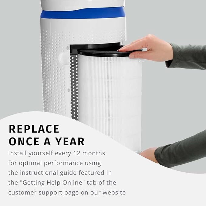 Homedics TotalClean 3-in-1 HEPA-Type Air Purifier Filter Replacement, Works with Homedics AP-T30 and AP-T30WT Air Purifiers, Captures Microscopic Airborne Particles