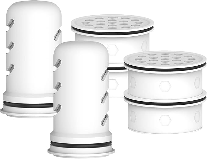 GLACIER FRESH Water Pitcher Filter Replacement for LS Home Dispenser and Pitcher Systems, Reduces Chlorine Taste and Odor, 2 Membrane Micro and 4 Activated Carbon + Ion Exchange