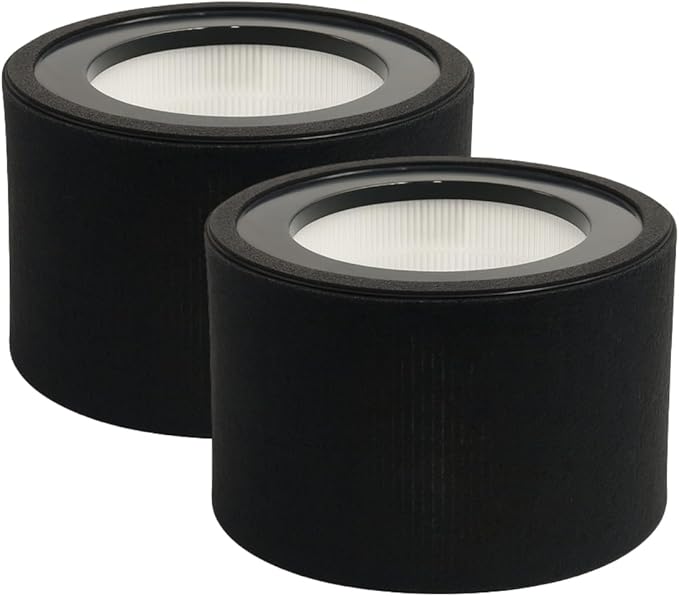 Nispira Replacement Filter L True HEPA + Activated Carbon Pre Filter Compatible with GermGuardian Air Purifier AC4200W FLT4200, 2 Packs