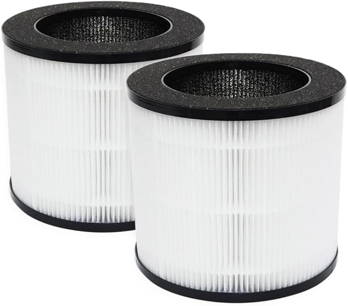 Replacement Air Filter A10 Compatible With GANIZA A10 AIR Purifier,H13 True HEPA Activated Carbon Filter(2-Pack)