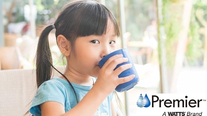 Watts Premier Standard Non-Air Gap Auxiliary Faucet with 1/4" Supply Tubing Connection for RO Reverse Osmosis Water Filtration Systems, Touch N'Flow Spring Loaded Handle, Antique Bronze