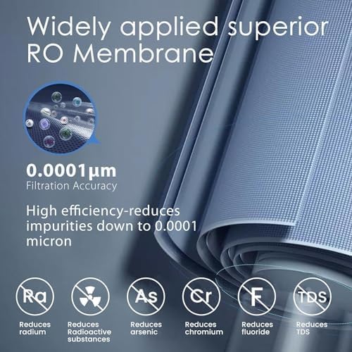 Watts Premier Standard Non-Air Gap Auxiliary Faucet with 1/4" Supply Tubing Connection for RO Reverse Osmosis Water Filtration Systems, Touch N'Flow Spring Loaded Handle, Medium, Chrome