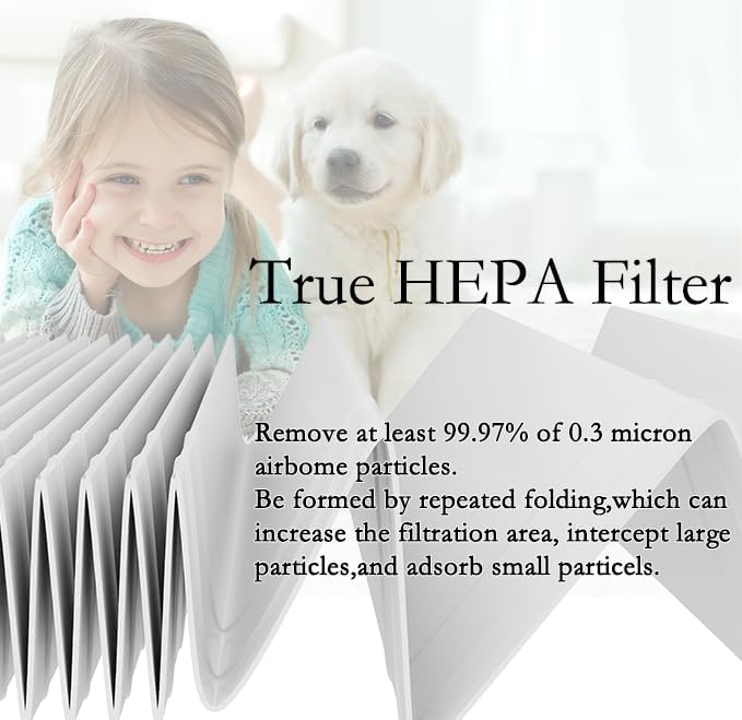 A2 Size H13 True HEPA Replacement Filter, Compatible with Filtrete Room Air Purifier Devices FAP-C02-A2, FAP-C03-A2, FAP-T03-A2, Part # 1150101, 2 HEPA + 2 Carbon pre-filters, 2 Pack
