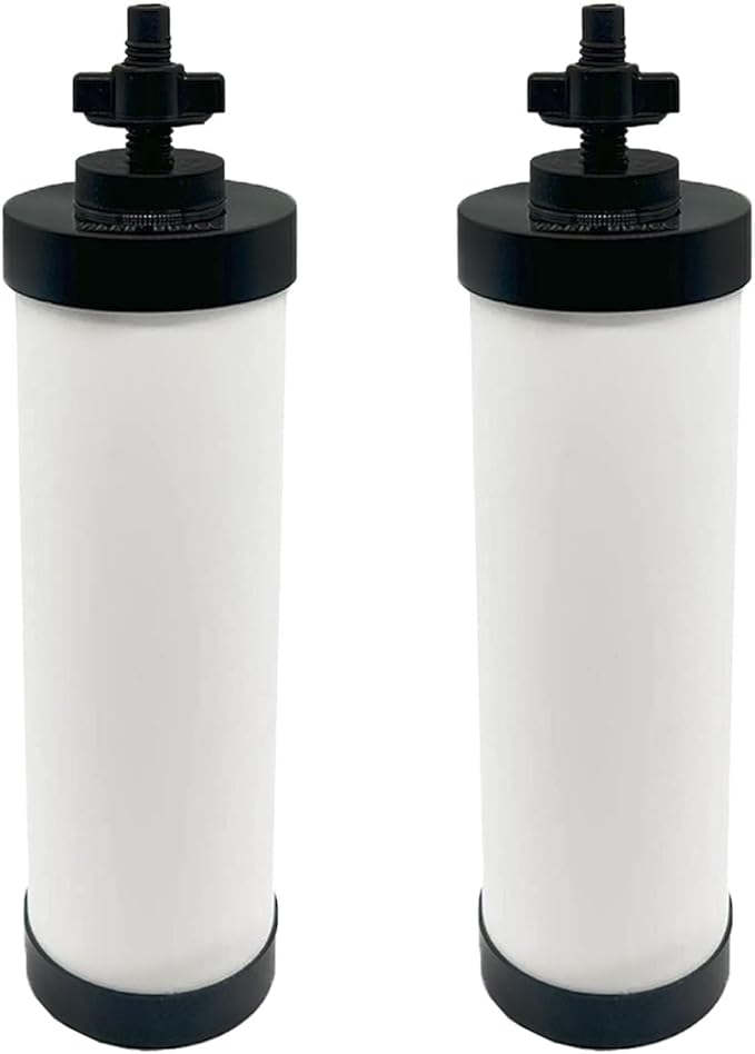 【Upgraded】Virego Ceramic Filter Silver Infused, Replacement for BB9-2 Water Filter, Repeatable Cleaning Filters Compatible with Berkey Gravity Filtration System, Certified by NSF/ANSI 42 (Pack of 2)