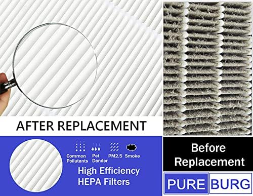 PUREBURG Replacement Filter Compatible with Partu BS-07 Air Purifier,2-Pack H13 True HEPA Activated Carbon 2-in-1 4-Stage Filtration Air Clean