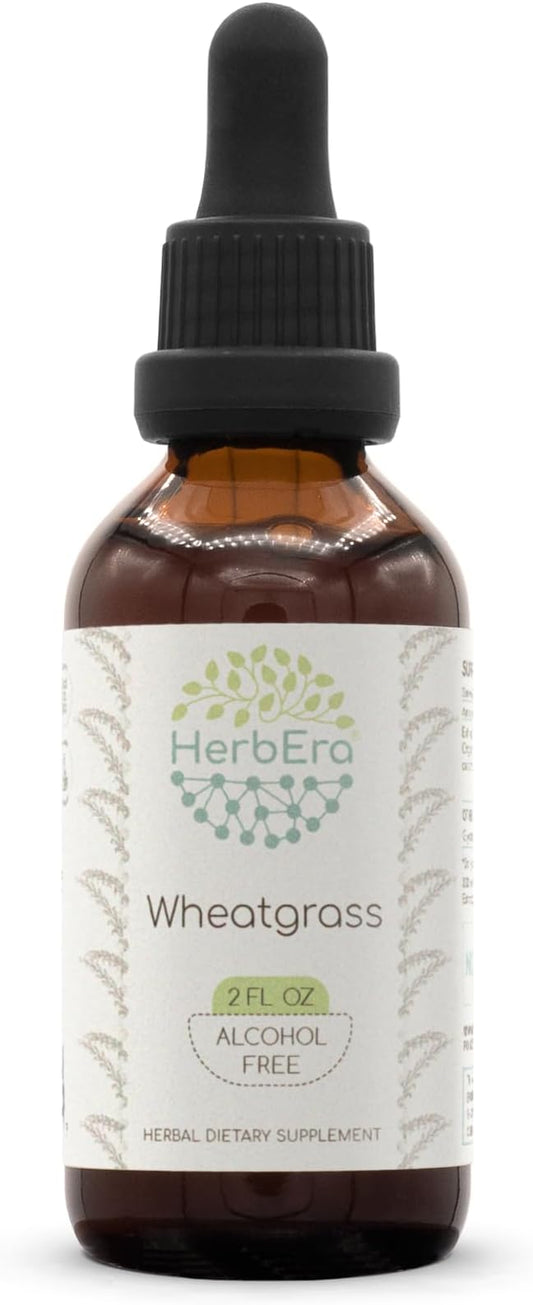 Wheatgrass B60 Alcohol-Free Herbal Extract Tincture, Concentrated Liquid Drops Natural Wheatgrass (Triticum aestivum) Dried Leaf (2 fl oz)
