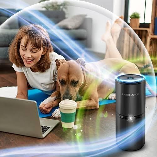 LabCharge Small Ionic Air Purifier for Home & Bedroom – Silent HEPA Filter – Covers 250 Sq Ft - Free Cleaner for Pets, Hair, Smoke, Dust, Odors & Dander – Compact & Black Design - Pack of 5