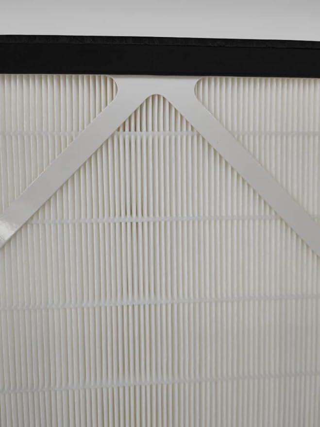 Phoenix Guardian-R Hepa Filter