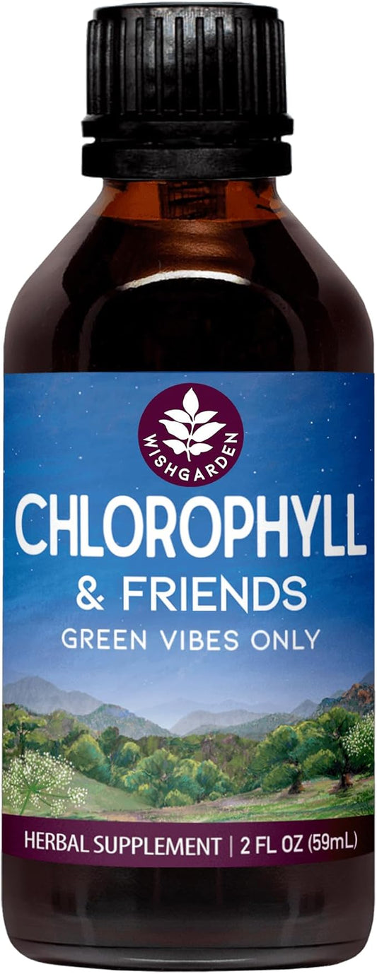 WishGarden Herbs Chlorophyll & Friends - Chlorophyll Liquid Drops with Nettle Leaf, Holy Basil, Moringa Leaf & Peppermint Leaf, Supports Increased Energy, Healthy Immune, & Stress Response, 2oz