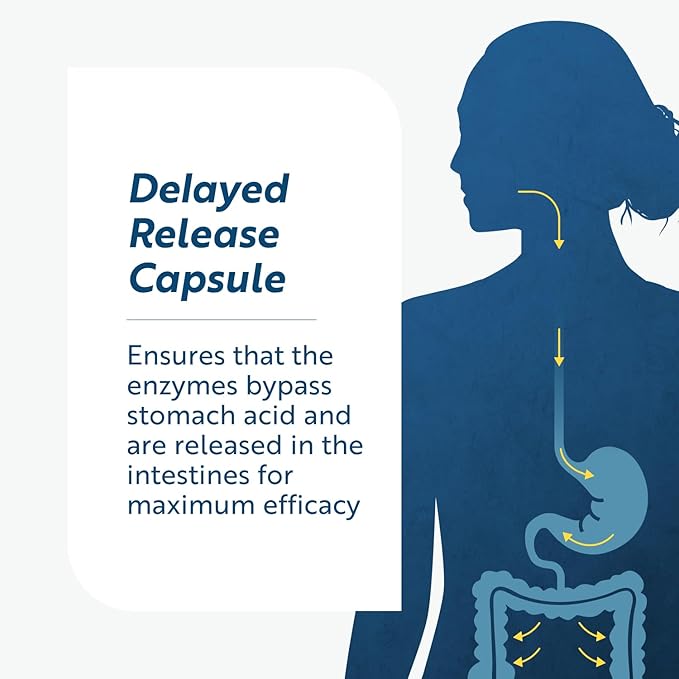 Researched Nutritionals Lumbrokinase Supplement - Enzyme Nutritional Supplements for Circulatory Support & Fibrin Balance - High-Potency 880,000 IU with Delayed Release (60 Capsules)