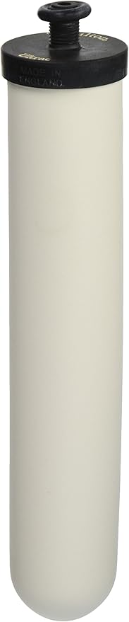 Doulton Ultracarb 10" Water Filter Candle, 2-pack (W9123053)