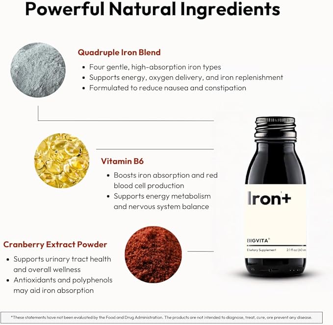 BIGVITA Iron+ | High Absorption Supplement with Microencapsulated Iron Drops + Folate, B6 & Cranberry Extract | No Metallic Taste, Mixed Berry Flavor, Gentle on Stomach | Energy & Hormonal Support