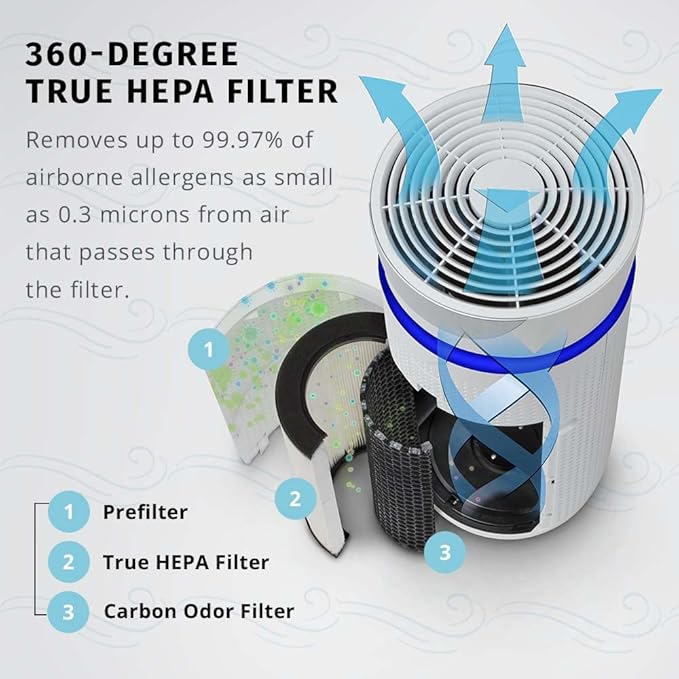 Homedics TotalClean 3-in-1 HEPA-Type Air Purifier Filter Replacement, Works with Homedics AP-T30 and AP-T30WT Air Purifiers, Captures Microscopic Airborne Particles