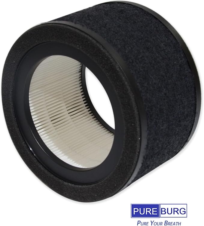 PUREBURG FLT4200 Replacement Filter Set Compatible with GermGuardian AC4200W AC4250B Air Purifier Filter L,2-Pack H13 HEPA + Activated Carbon Pre-Filter