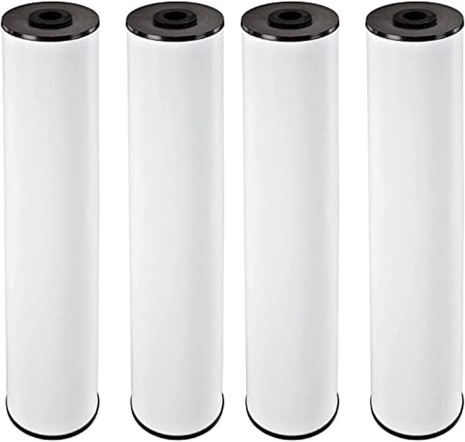 Pentair Pentek RFFE20-BB Big Blue Water Filter, 20-Inch, Whole House Radial Flow Iron Reduction Replacement Cartridge, 20" x 4.5", Pack of 4