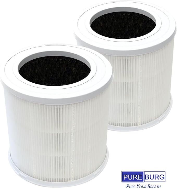 PUREBURG AP304 Replacement Air Filter Compatible with AIRJOWSET & GCZ AP304 Air Purifier, H13 4-Stage Filtration Activated Carbon,2-Pack