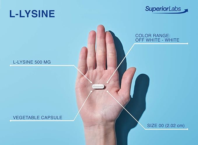Superior Labs L-Lysine 500 mg Capsules, Pure Non-GMO, Third-Party Tested, No Fillers, Gluten Free, Supports Immune System, Promotes Calcium Absorption, 120 Caps