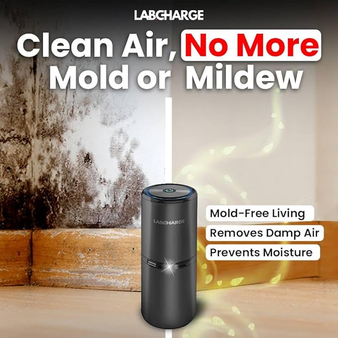 LabCharge Compact Air Purifier - Covers 250 Sq Ft - Ideal for Bedroom or Dorm Room - Silent HEPA Filter Captures Dust and Pollutants - Portable, Mini Air Purifier for Small Spaces