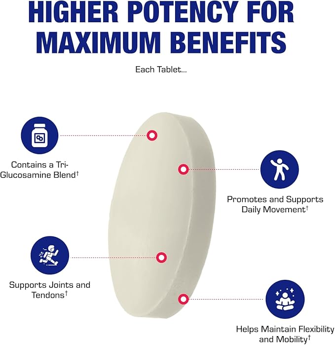 High Absorption Glucosamine Chondroitin MSM - Clinical Formula Bone Joint Tendon and Ligament Supplement with MSM Glucosamine Chondroitin - Non-GMO Gluten Free & Made in The USA - 120 Servings