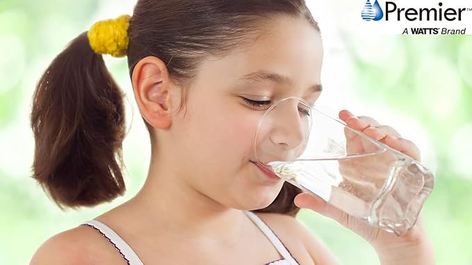 Watts Premier Standard Air Gap Auxiliary Faucet with 1/4" Supply Tubing Connection for RO Reverse Osmosis Water Filtration Systems, Touch N'Flow Spring Loaded Handle, Brushed Stainless Steel