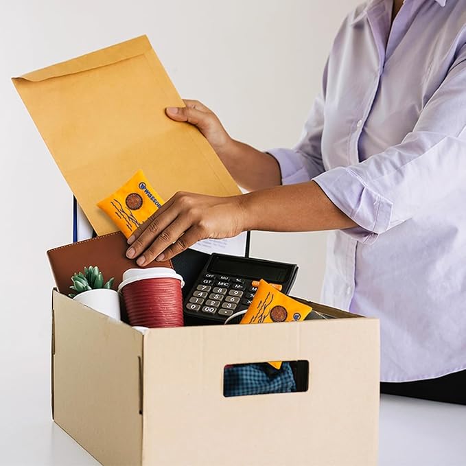 100gx80pcs Rechargeable Desiccant Packs for Storage, Color Indicating Silica Gel Packets Moisture Absorbers with Visible Window, Reusable Dehumidifier Bags for Gun Safe Closet Basement Car